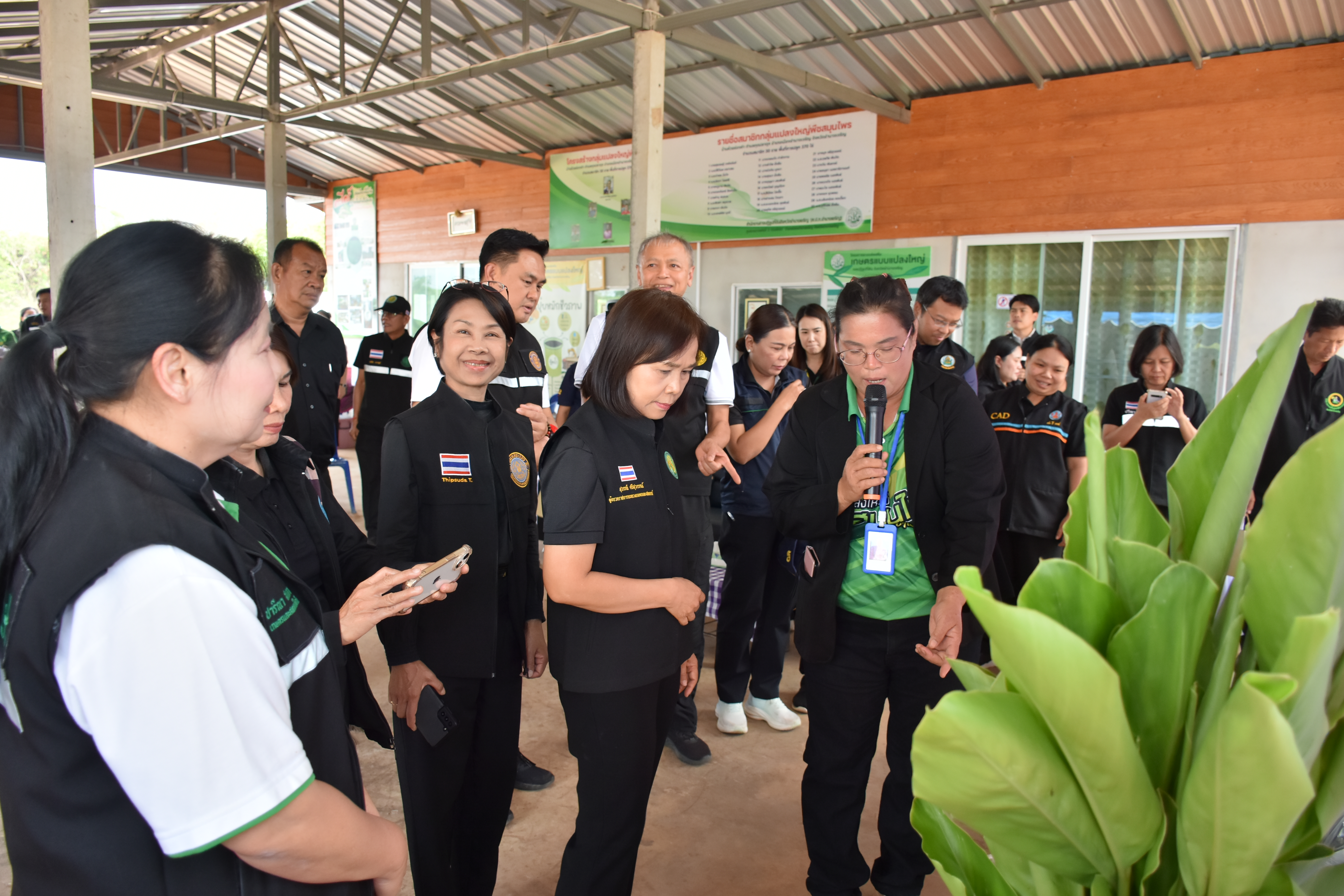 title - ผู้ตรวจราชการกระทรวงเกษตรและสหกรณ์ เขตตรวจราชการที่ 14 (นางสุวรรณี ศรีสุวรรณ์) และคณะผู้ตรวจราชการกรม ลงพื้นที่ตรวจติดตามนโยบายยกระดับสินค้าเกษตรและบริการมูลค่าสูง การพัฒนาสินค้าเกษตรมูลค่าสูง โครงการส่งเสริมและพัฒนาสินค้าเกษตรชีวภาพ (สมุนไพร) ณ แปลงใหญ่สมุนไพร หมู่ 10 บ้านห้วยร่องคำ ตำบลกุดปลาดุก อำเภอเมืองอำนาจเจริญ จังหวัดอำนาจเจริญ